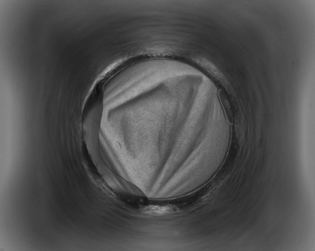 X0000083550488200703021655