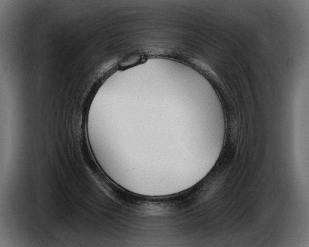 X0000083550490200703021655