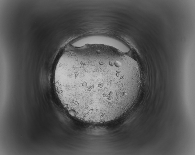 X0000083550491200703021655