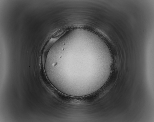 X0000083550494200703021655