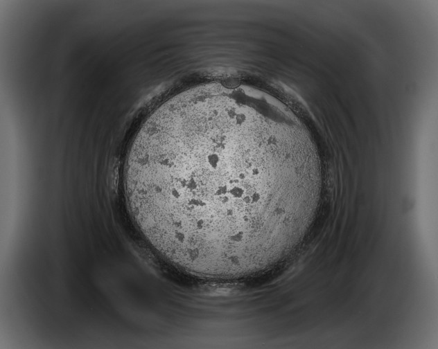 X0000083550495200703021655