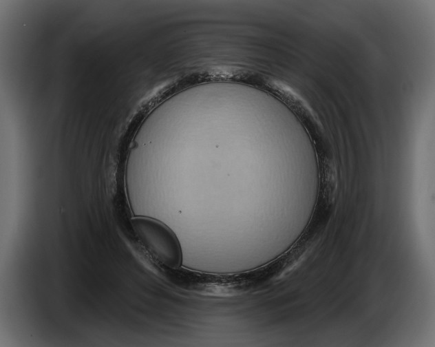 X0000083550496200703021655