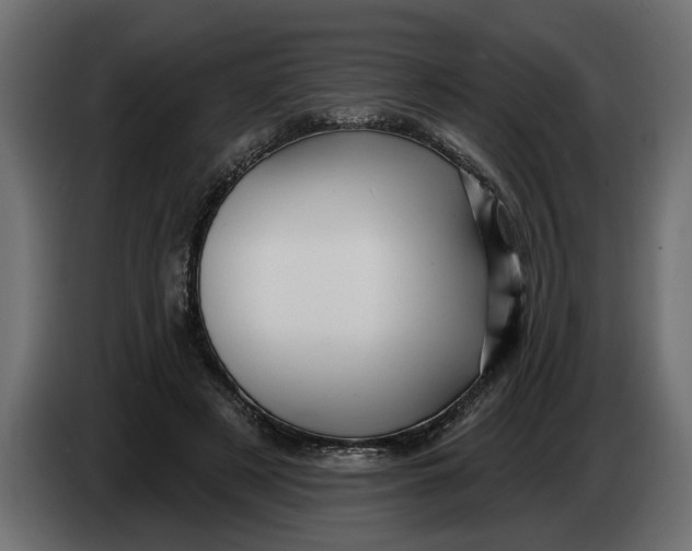 X0000083550497200703021655