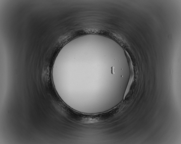 X0000083550498200703021655