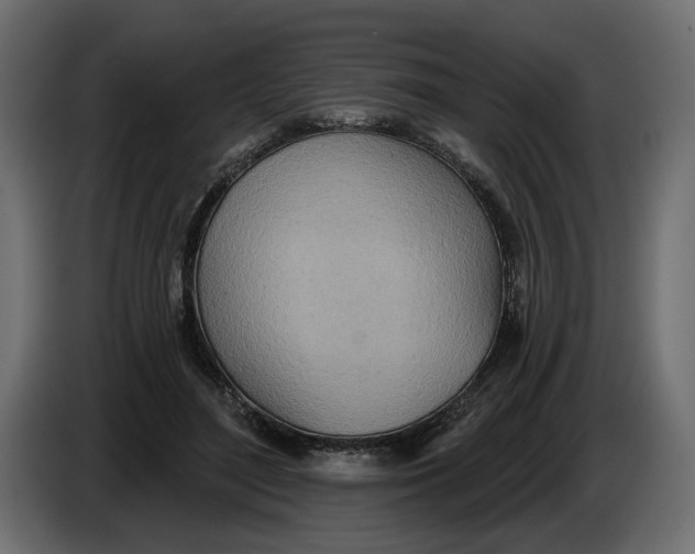 X0000083550500200703021655