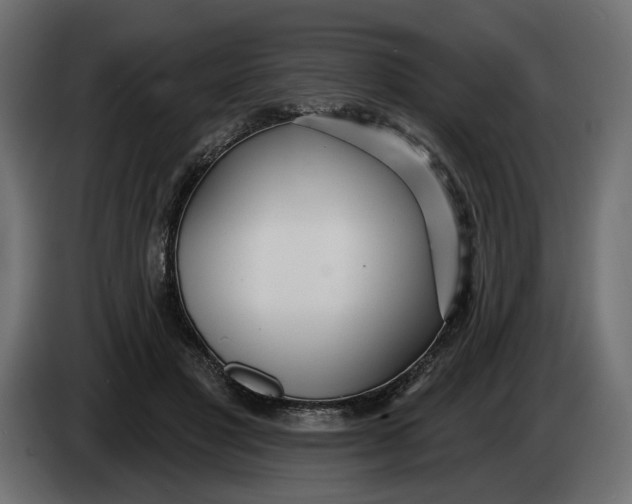 X0000083550501200703021655