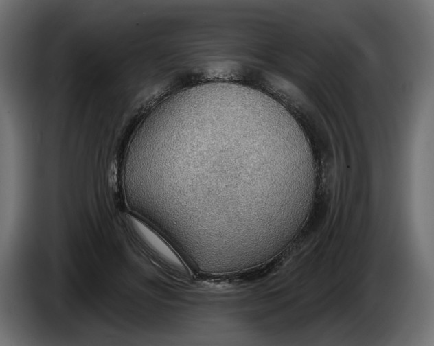 X0000083550502200703021655