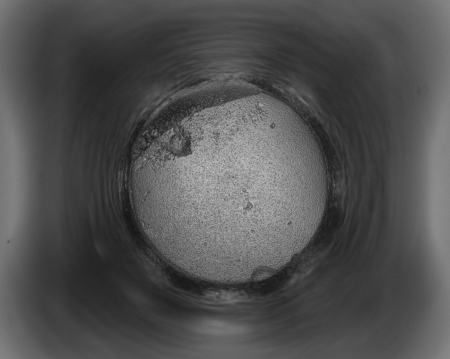 X0000083550503200703021655