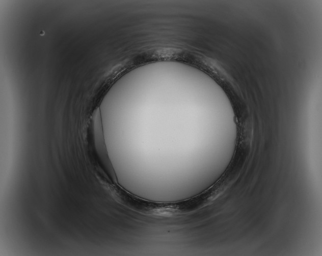 X0000083550505200703021655