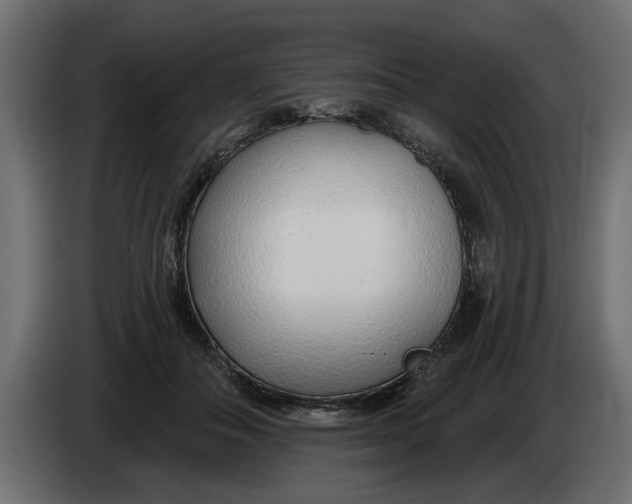 X0000083550506200703021654