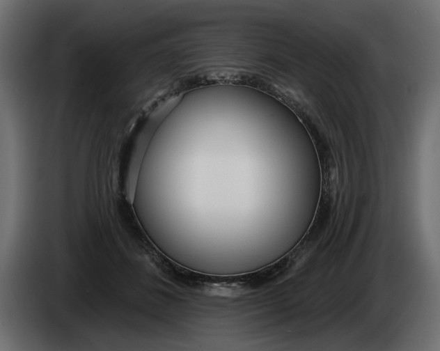 X0000083550508200703021654