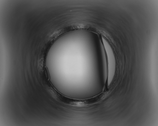 X0000083550509200703021654