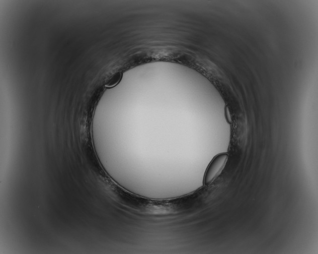 X0000083550510200703021654