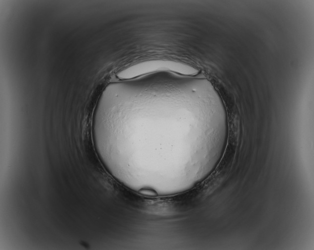 X0000083550511200703021654