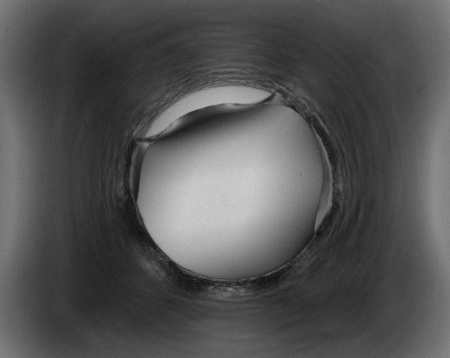 X0000083550512200703021654
