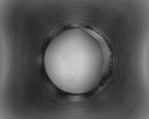 X0000083550513200703021654