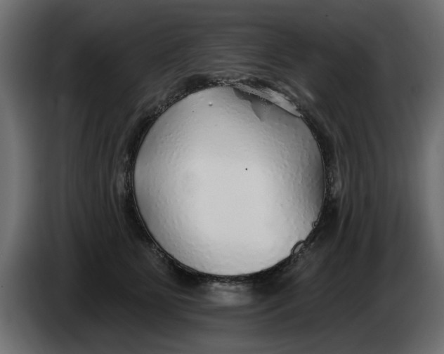 X0000083550515200703021654