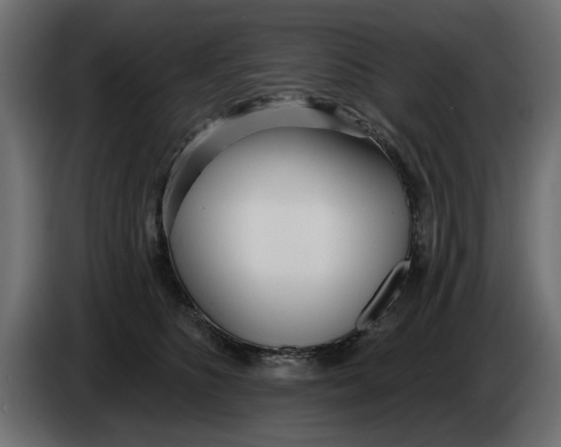 X0000083550516200703021654