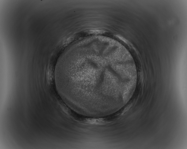 X0000083550517200703021654