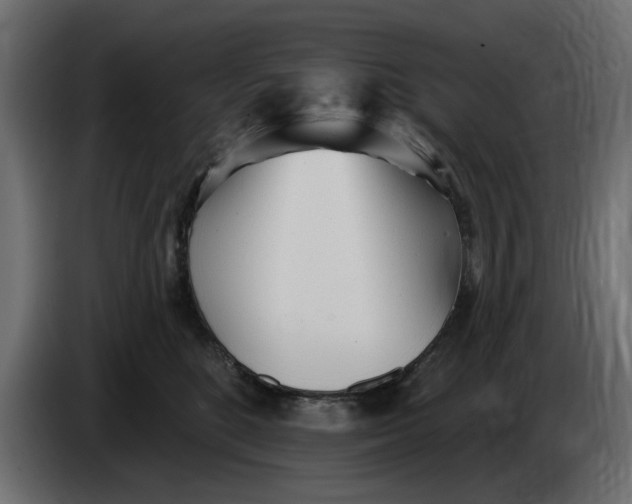 X0000083550520200703021654