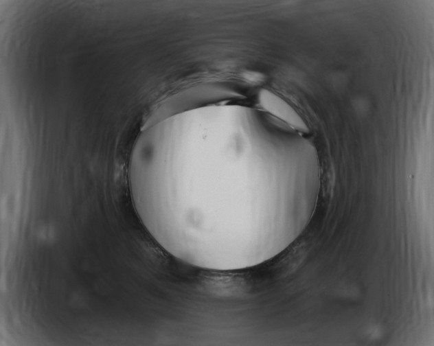 X0000083550521200703021654