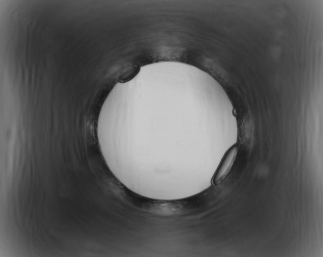 X0000083550522200703021654