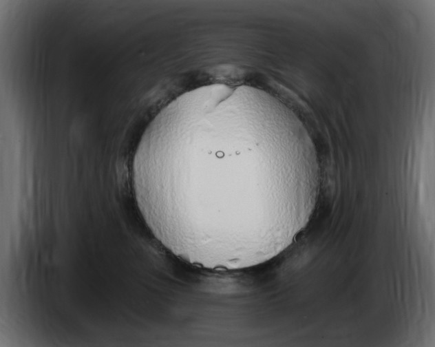 X0000083550523200703021654