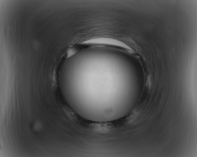 X0000083550524200703021654
