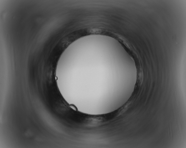 X0000083550525200703021654
