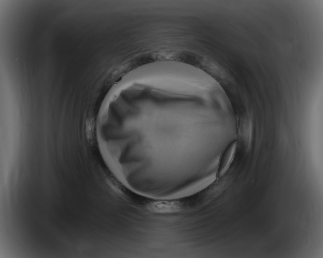 X0000083550526200703021654