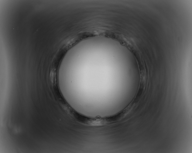X0000083550527200703021654