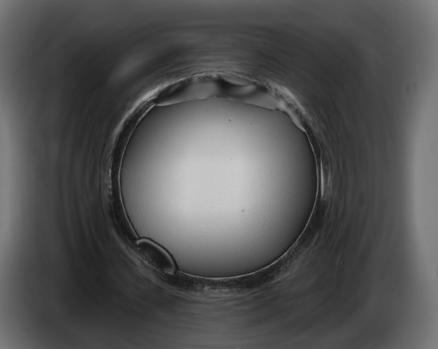 X0000083550531200703021653