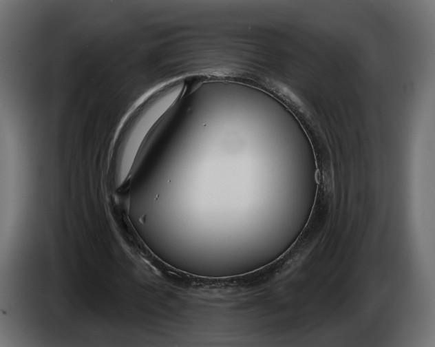 X0000083550532200703021653