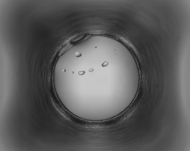 X0000083550533200703021653