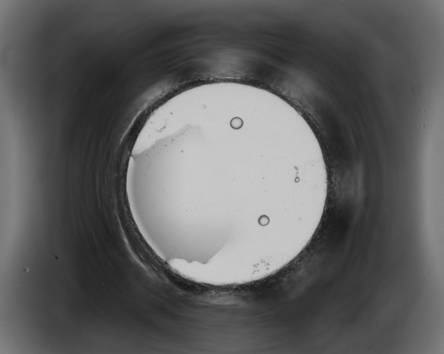 X0000083550534200703021653