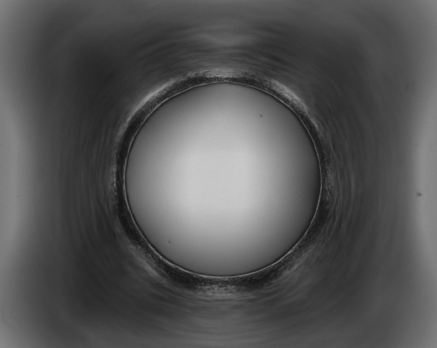 X0000083550535200703021653