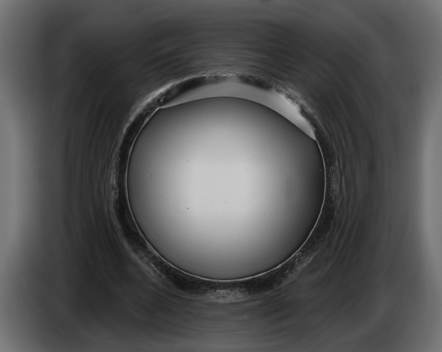 X0000083550536200703021653