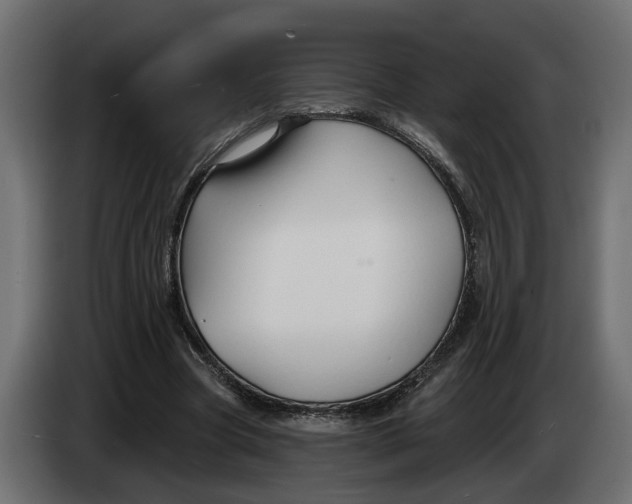 X0000083550537200703021653