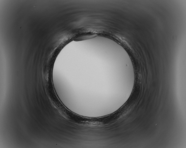 X0000083550539200703021653