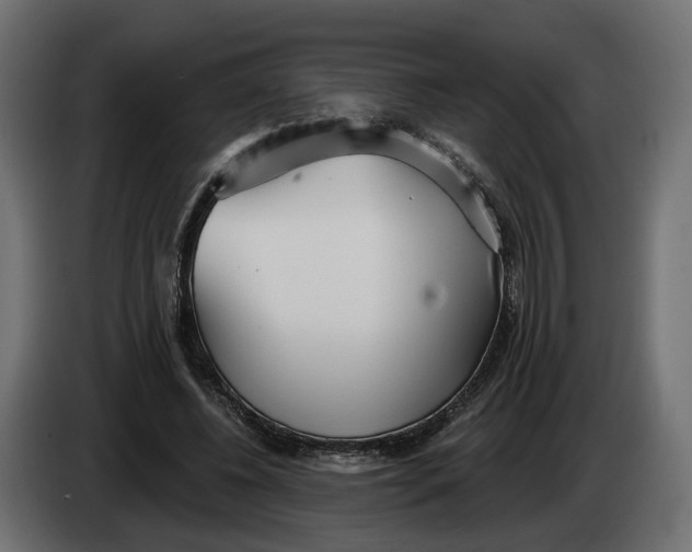 X0000083550540200703021653