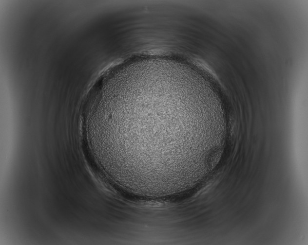 X0000083550542200703021653