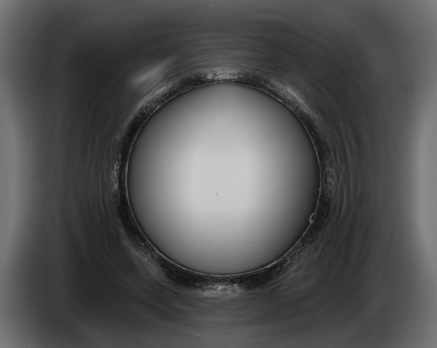 X0000083550543200703021653