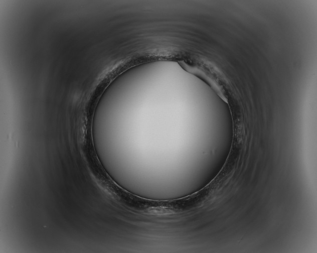 X0000083550544200703021654