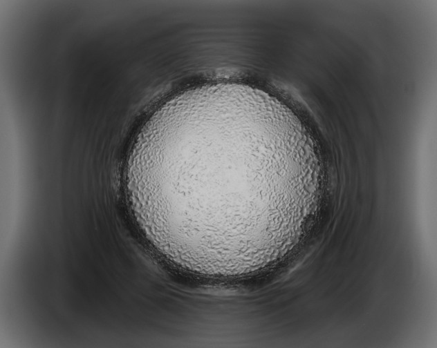 X0000083550545200703021654