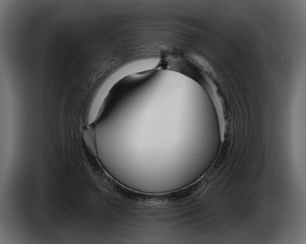 X0000083550546200703021654