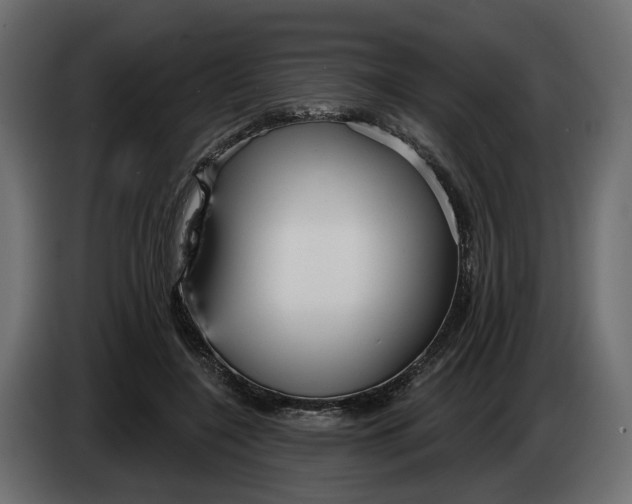 X0000083550548200703021654