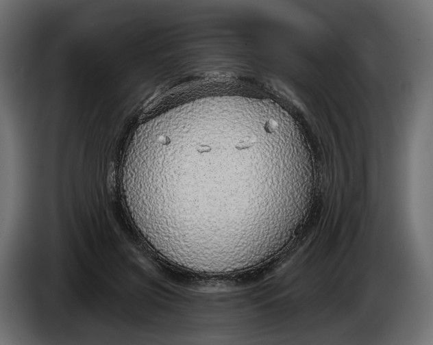 X0000083550549200703021654