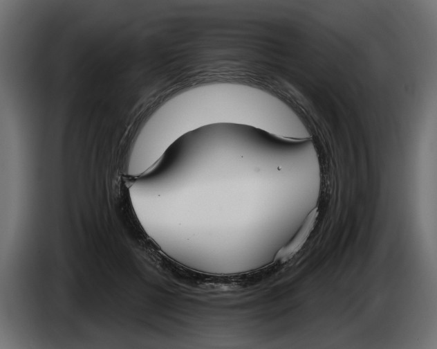X0000083550552200703021654