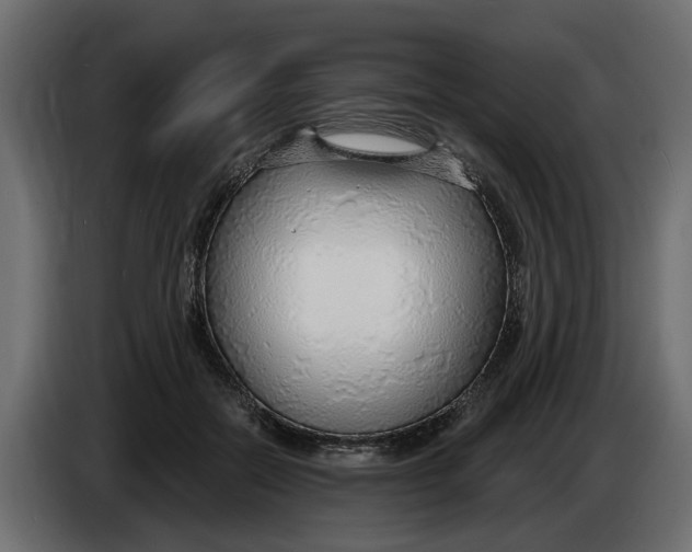 X0000083550554200703021654