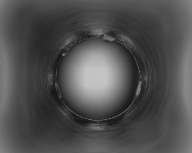 X0000083550556200703021654